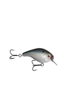 13 Fishing Scamp 1.5 Square Bill 9 13 Fishing Scamp 1.5 Square Bill -Outdoor Sports Equipment 13FESC15 20NL scaled