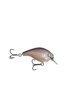 13 Fishing Scamp 1.5 Square Bill 7 13 Fishing Scamp 1.5 Square Bill -Outdoor Sports Equipment 13FESC15 20R scaled
