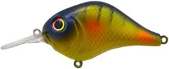 Bill Lewis MR-6 Crankbait 2 1/2in 1/2oz 6ft -Outdoor Sports Equipment 518FcrctDIL. AC SX679