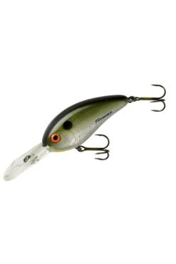 Bomber Fat Free Shad 3/8oz -Outdoor Sports Equipment BOMD5FDTS