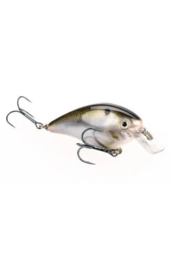 Strike King KVD Square Bill 1.5 30 Strike King KVD Square Bill 1.5 -Outdoor Sports Equipment STKHCKVDS15699