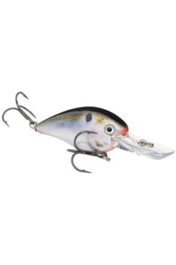 Strike King KVD Square Bill 1.5 Deep Diver -Outdoor Sports Equipment STKHCKVDS15D 20699